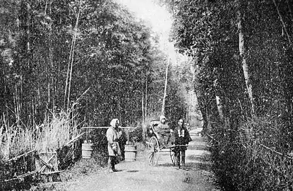 Farmers of forty centuries - Public highway in Japan.jpg