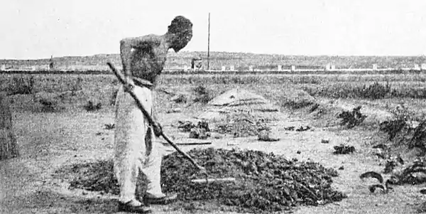 Farmers of forty centuries - Pulverizing desiccated human excreta, Shantung, China.jpg