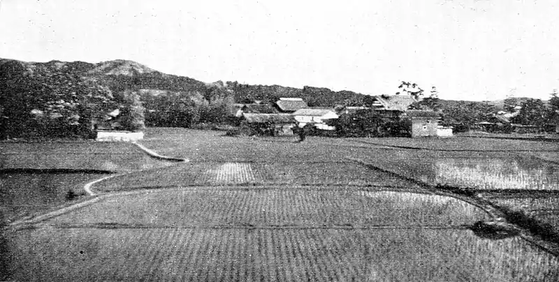 Farmers of forty centuries - Recently transplanted rice fields in Japan.jpg