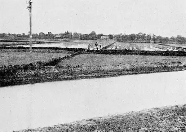 Farmers of forty centuries - Rice fields on the plains of the Yangtse kiang, China, being flooded.jpg
