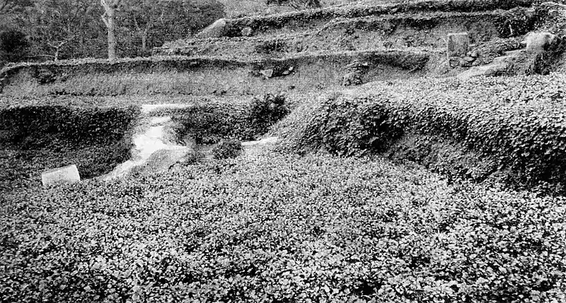Farmers of forty centuries - Series of terraces.jpg