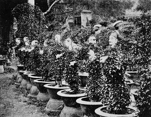 Farmers of forty centuries - Statuary floral pieces in florist's garden.jpg