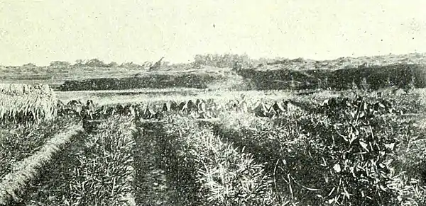 Farmers of forty centuries - Temporary burial.jpg