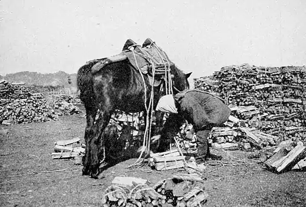 Farmers of forty centuries - Transporting wood to market (Japan).jpg