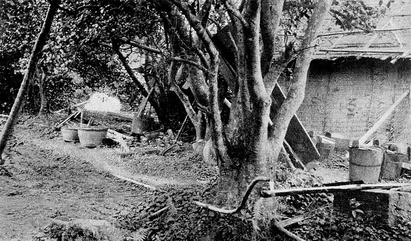 Farmers of forty centuries - Water brought from mountain side.jpg