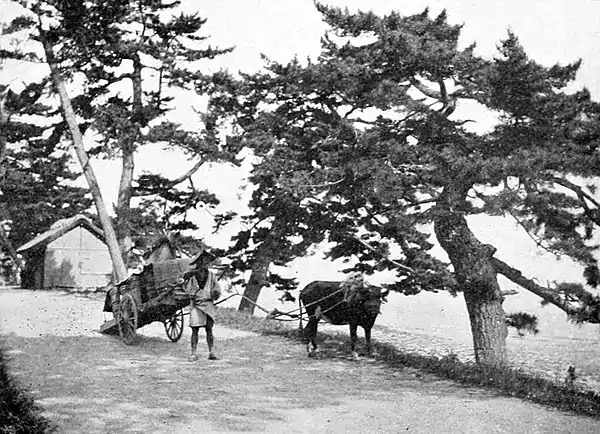 Farmers of forty centuries - conveyance used in Japan for the removal of city and village waste.jpg