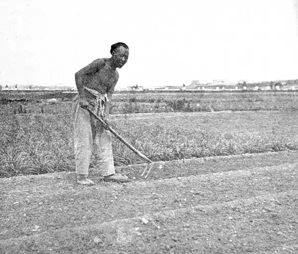 Farmers of forty centuries - incorporating fertilizer, Shantung, China.jpg
