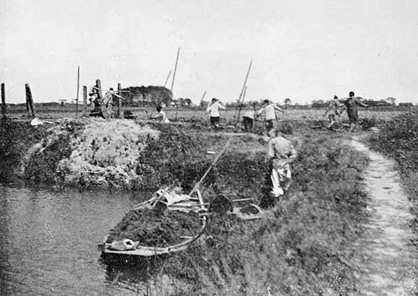 Farmers of forty centuries - moving a pile of winter compost.jpg