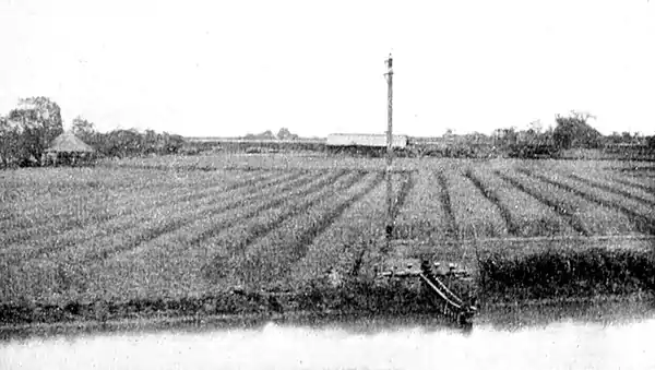 Farmers of forty centuries - reservoir, foot-power pump, fields of grain sowed broadcast in narrow beds.jpg