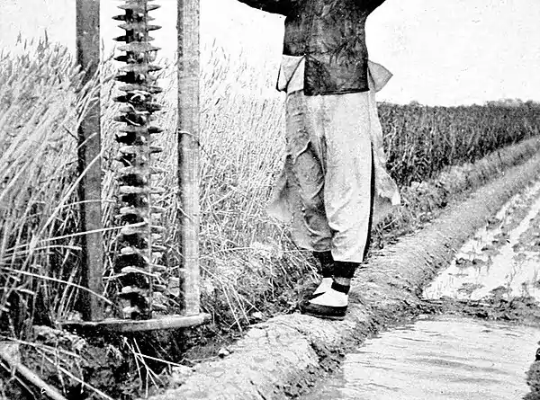 Farmers of forty centuries - revolving wooden harrow for fitting flooded rice fields.jpg