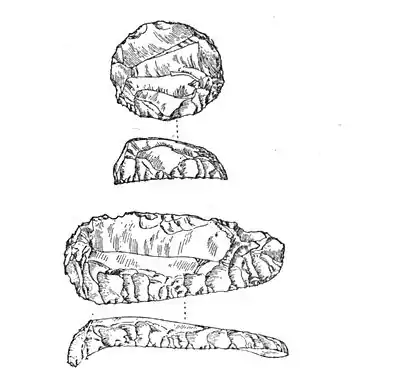 Flint Scrapers - A Book of Dartmoor.jpg