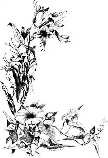 Forest Hymn pg 33b.jpg