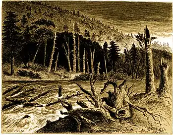 Forest Hymn pg 65.jpg