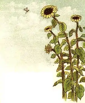 Gertie's sun flower pg 11a.jpg