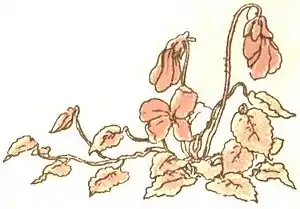 Gertie's sun flower pg 17d.jpg