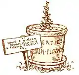 Gertie's sun flower pg 8.jpg