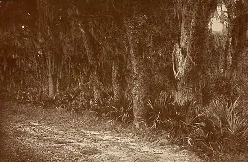 Hymns of the Marshes (page 83 crop).jpg