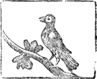 I had a horse (1815-1825) - Title.png