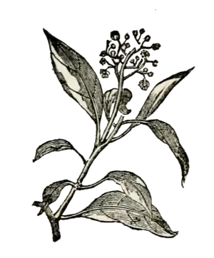 Image from "Poems Written During the Progress of the Abolition Question In the United States," page 25.png