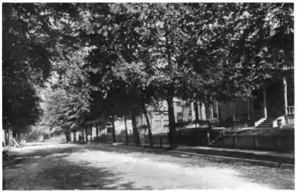 In Lockerbie Street - Lockerbie Street 2.jpg