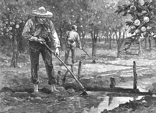 Click on image to enlarge.