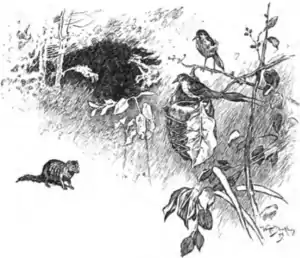 Jungle book p204.png