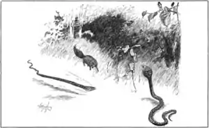 Jungle book p210r.png