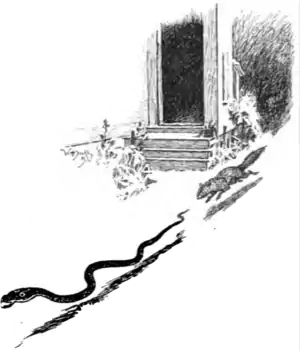 Jungle book p230c.png