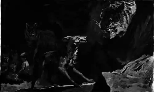 tiger roaring at wolves in cave