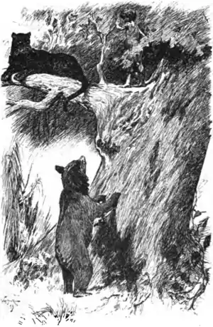 bear and panther watching boy walk along tree branch