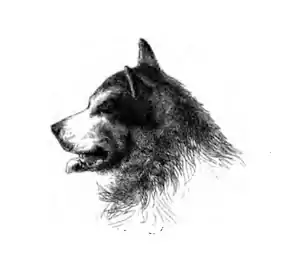 Life with the Esquimaux - 1864 - Volume 1.djvu-35.png