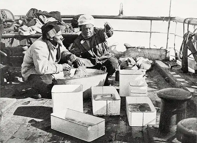 Photograph of two men squatting over specimen containers on a ship's deck