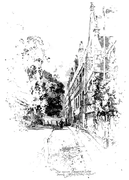 The Narrow Brazenose Lane. Showing All Souls and "Heber's chestnut."