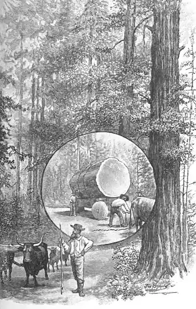 Click on image to enlarge.