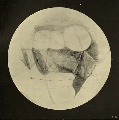 Lowell - Mars (1894) - Plate 12.jpg