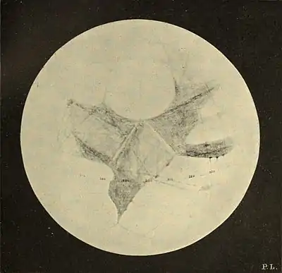 Lowell - Mars (1894) - Plate 13.jpg