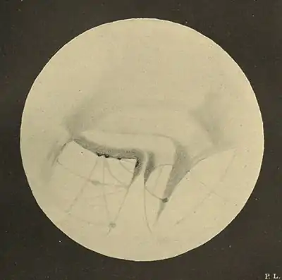 Lowell - Mars (1894) - Plate 18.jpg