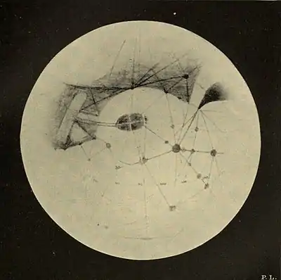 Lowell - Mars (1894) - Plate 6.jpg