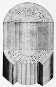 Makers of British botany, Plate 7 (plate from Grew's Anatomy) - right figure.png