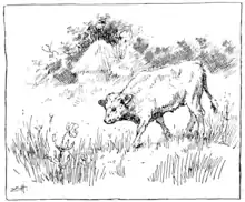 Moo cow tales - illustration at p09.png
