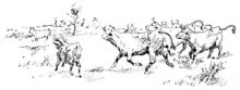 Moo cow tales - illustration at p23.png