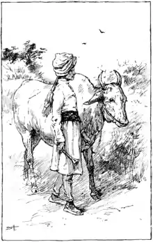 Moo cow tales - illustration at p25.png