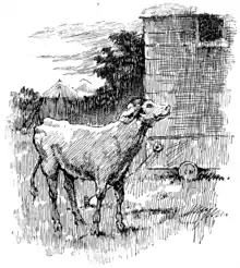 Moo cow tales - illustration at p31.png