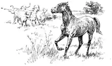 Moo cow tales - illustration at p43.png