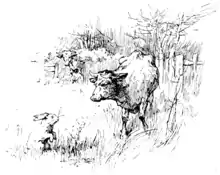 Moo cow tales - illustration at p57.png