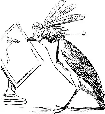 More Nonsense, Pictures, Rhymes, Botany, etc. (1872), The Judicious Jubilant Jay.jpg
