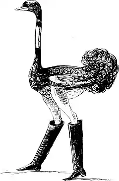 More Nonsense, Pictures, Rhymes, Botany, etc. (1872), The Obsequious Ornamental Ostrich.jpg