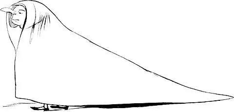 More Nonsense, Pictures, Rhymes, Botany, etc. (1872), There was a young person in green.jpg