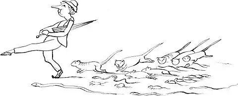 More Nonsense, Pictures, Rhymes, Botany, etc. (1872), There was an old person of Shields.jpg