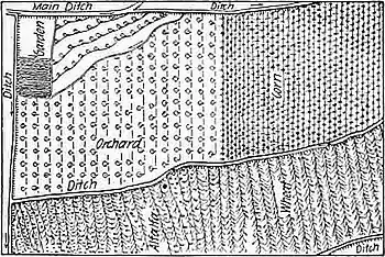NIE 1905 Irrigation - Plan of Irrigated Farm.jpg